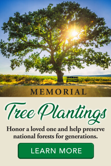 Obituaries Archive - Johnson Funeral Home Rocky Mount